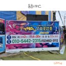 서울 근교 아이랑 이색 공연관람 대부도 동춘서커스 상설공연장 할인 및 좌석팁