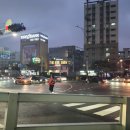 고양이호텔 윤집사 네이버블로그