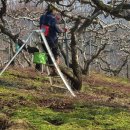 영락농원 이미지