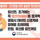 올바른영양 이미지