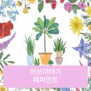 허브이야기 이미지