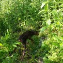 조아농장 이미지