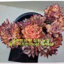 철화농장 이미지