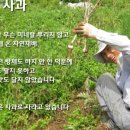 이철규사과 이미지