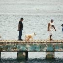 코히마르 이미지