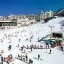 확신의 덫 이미지