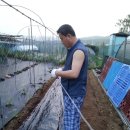 영세농장 이미지