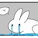 동글동글