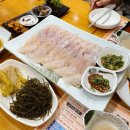 반도프라자 | 의왕 내손동 맛집 다자연산횟집 싱싱한 자연산 활어회대만족 후기