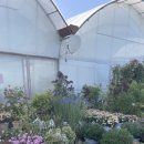 한빛 꽃농원 이미지