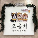 부천애견유치원 오올치유치원 두부 등원 후기
