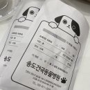 송도건국동물병원 이미지