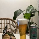 시고르하우스 이미지