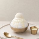 설빙진주평거판문점 | 올여름 대란이라는 메가커피 컵빙수 먹어본 후기, 정말 1인 1빙 가능할까?