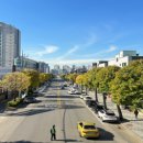 동산로1 이미지