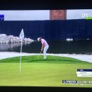 와. . .골프 지금 바레인 챔피언쉽 보시는분? 이미지