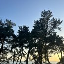 나로힐링캠핑장 | 고흥 나로힐링캠핑장 25번 사이트(파쇄석) 2박3일 후기
