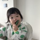 11 | 11개월 후기 이유식 거부, 푸드케어 클레로 바꿔본 이유