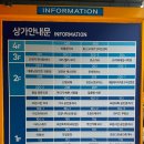 노유네일
