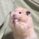 남원 지리산 수산 이미지