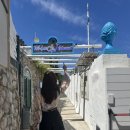 카프리 | 이탈리아 카프리 il riccio 후기