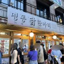 쭈꾸미엄나무닭한마리 | [명동닭한마리 시조점] 동대문 엄나무 닭한마리 후기