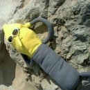 자이언티&원슈타인 블렌딩 콘서트 이미지