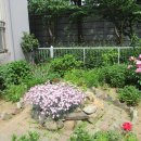 대우아파트 이미지