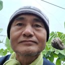 황금 행정사 사무소 이미지