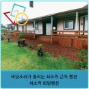 희망민박 | 세모네모동그라미 공방 : 바닷소리가 들리는 쇠소깍 근처 펜션 - 쇠소깍 희망펜션