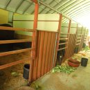 동서울 승마장 이미지