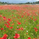 삼문농장 이미지