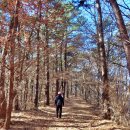 용댕이매운탕 이미지