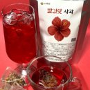 더엘코리아