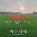 광명시립야구장 이미지