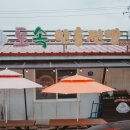 횡성 안흥찐빵 맛집, 가볍게 먹을 간식 추천 60년 전통 토속안흥찐빵 내돈내산 후기