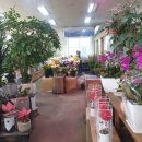 대동화원 이미지