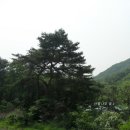 점말농장 이미지