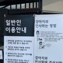 독앤트리 이미지