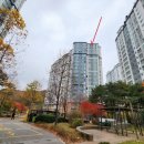 데시앙포레 이미지