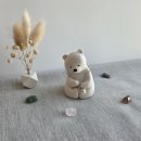 별곰자리