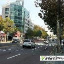 꿀벌부동산공인중개사사무소 이미지