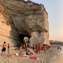 트로페아2 이미지