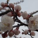 충주댐가든 이미지