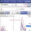 돌고래홀딩스 네이버블로그