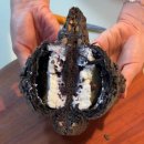 빵선수 베이커리 카페 | [대구]명덕 빵앗간 본점 | 대구 소금빵 맛집 한옥 베이커리카페 솔직후기