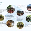 추월정 | 🌺🎉 청주, 벚꽃길 걷기 행사 ‘벚꽃&amp;딩’ 개최 🌹🌺