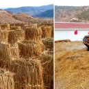 문덕농장 이미지