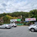 신평동351 네이버블로그