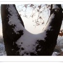 작은풍경 이미지